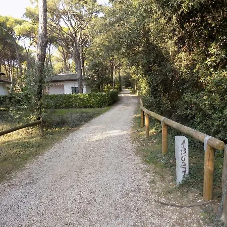 In Eraclea Mare 25829 伊拉克里亚马勒